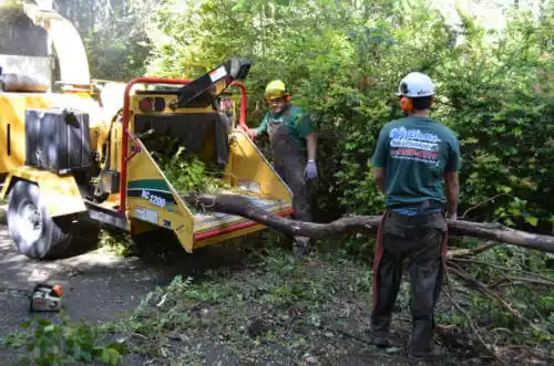 tree services Harrisburg